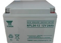 NPL24-12 (12V 24AH)