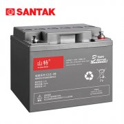 山特（SANTAK）UPS電源電池鉛酸蓄電池免維護(hù)12V38AH C12-38AH